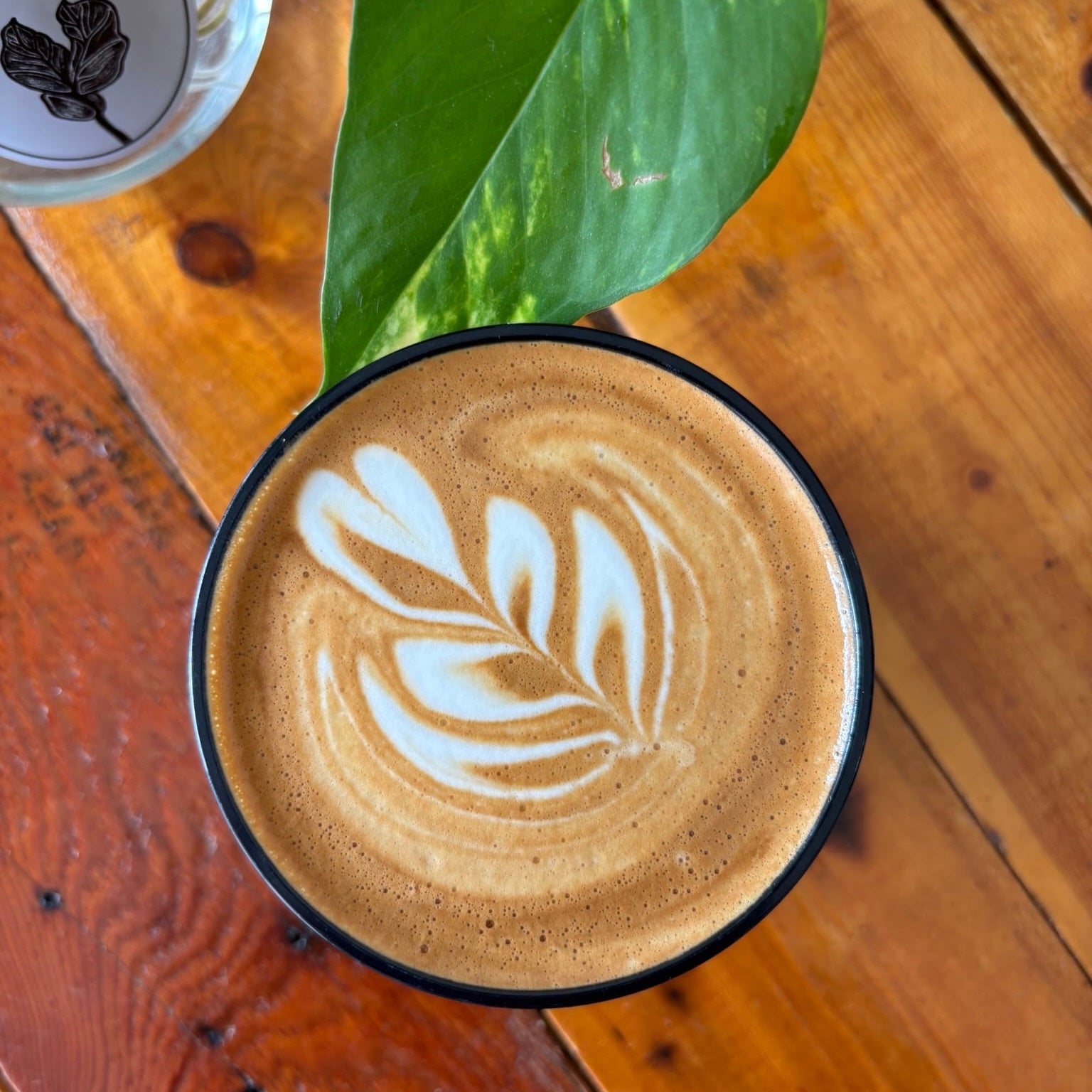Latte